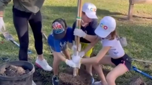 Three children helping to plant a tree