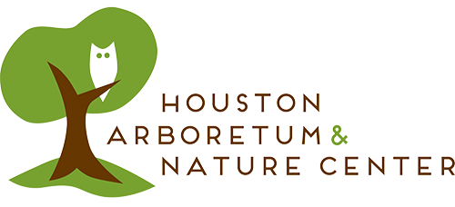 Houston Arboretum