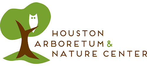 Houston Arboretum