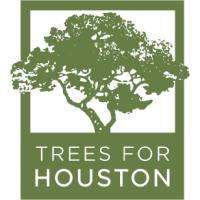 Trees for Houston